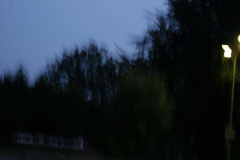 SONY DSC