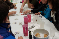 IMG-20251106-WA0045