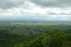 P1130612