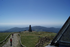 SONY DSC