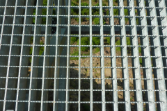 P1170695