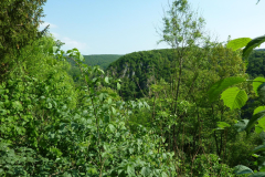 P1170705