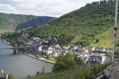 SONY DSC
