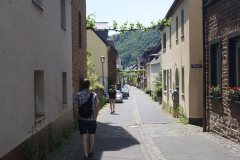 SONY DSC