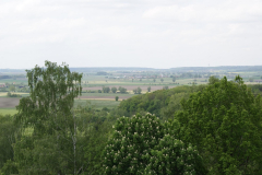 SONY DSC