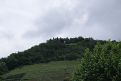 SONY DSC