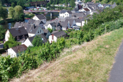 IMG-20250531-WA0004