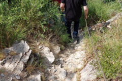 IMG-20250531-WA0024